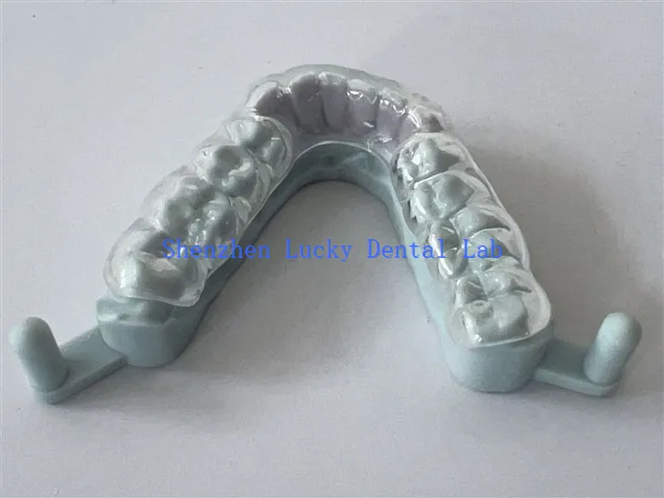 Erinomainen 3D -tulostettu kova yövartiotehdas